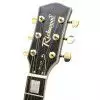 Richwood RE129 BU E-Gitarre