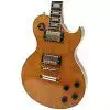 Richwood RE129 OR E-Gitarre