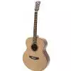 Dowina J555 Westerngitarre