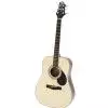 Samick D5 N Westerngitarre
