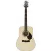 Samick D5 N Westerngitarre