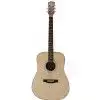 Morrison MBD100 Westerngitarre