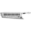 Roland AX-EDGE-W