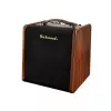 Richwood RPF-65 acoustic guitar amplifier