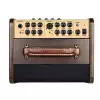 Richwood RPF-65 acoustic guitar amplifier