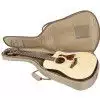 Taylor 110CE Westerngitarre (mit Tonabnehmer)