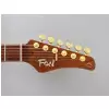 FGN Expert Iliad EW Vintage Natural electric guitar