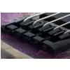 Schecter Riot 5 Aurora Burst bass guitar