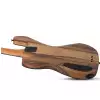 Schecter  Model-T 4 Exotic Black Limba bass guitar