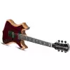 Schecter Wylde Audio Nomad Cocobolo  electric guitar