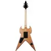 Schecter Wylde Audio Warhammer FR Norse Dragon Bullseye electric guitar