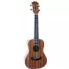 Arrow MH10 Sapele Plus