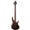 LTD B 1004 NS Natural Satin bass guitar