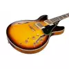 Ibanez JSM10EM-TTB