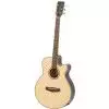 Tanglewood TR SF CE Westerngitarre (mit Tonabnehmer)