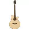 Tanglewood TR SF CE Westerngitarre (mit Tonabnehmer)