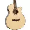 Tanglewood TR SF CE Westerngitarre (mit Tonabnehmer)