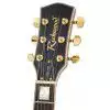 Richwood RE129 CS E-Gitarre