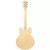 Tanglewood TSB 59 NA E-Gitarre