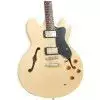 Tanglewood TSB 59 NA E-Gitarre