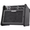 Fishman Loudbox 100 Gitarrenverstrker