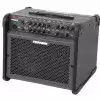 Fishman Loudbox 100 Gitarrenverstrker