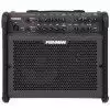 Fishman Loudbox 100 Gitarrenverstrker