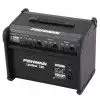 Fishman Loudbox 100 Gitarrenverstrker