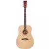 Tanglewood DBT DLX D Westerngitarre