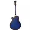 Ibanez AEL 20 E TB Westerngitarre (mit Tonabnehmer)