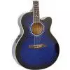 Ibanez AEL 20 E TB Westerngitarre (mit Tonabnehmer)