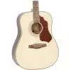 Ibanez SGT 120 NT Westerngitarre