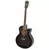 Ibanez AEL 20 E TK Westerngitarre (mit Tonabnehmer)
