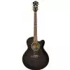 Ibanez AEL 20 E TK Westerngitarre (mit Tonabnehmer)