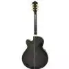 Ibanez AEL 20 E TK Westerngitarre (mit Tonabnehmer)