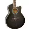 Ibanez AEL 20 E TK Westerngitarre (mit Tonabnehmer)