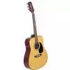 Takamine G240 Westerngitarre