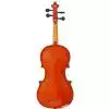 Strunal 14W 1/4 Violinen
