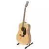 Peavey Briarwood DR-1 Westerngitarre