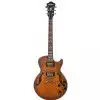 Ibanez AGS 83 BAT E-Gitarre