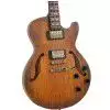 Ibanez AGS 83 BAT E-Gitarre