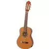 Hoefner HC504 Solid Cedar Top Konzertgitarre