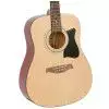 Ibanez V50JP NT Westerngitarre