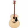Morrison MSJ20M Westerngitarre