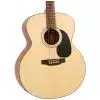 Morrison MSJ20M Westerngitarre