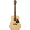 Tanglewood TD 8 Westerngitarre