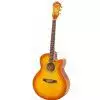 Ibanez AEL 20 E VV Westerngitarre (mit Tonabnehmer)