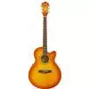 Ibanez AEL 20 E VV Westerngitarre (mit Tonabnehmer)
