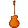 Ibanez AEL 20 E VV Westerngitarre (mit Tonabnehmer)
