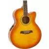 Ibanez AEL 20 E VV Westerngitarre (mit Tonabnehmer)